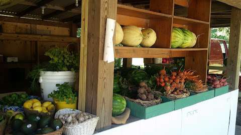 Jobs in The Shelter Island Farm Stand - reviews